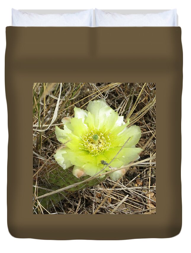 Cactus Duvet Cover featuring the photograph Plains Pricklypear Cactus by Katie Keenan