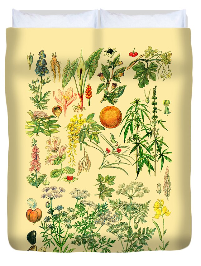 Botanical Duvet Cover featuring the digital art Plant Chart by Madame Memento