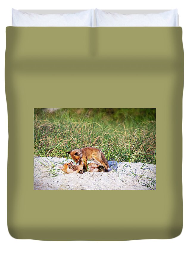 Red Fox Duvet Cover featuring the photograph Playful Red Foxes on the Outer Banks by Bob Decker