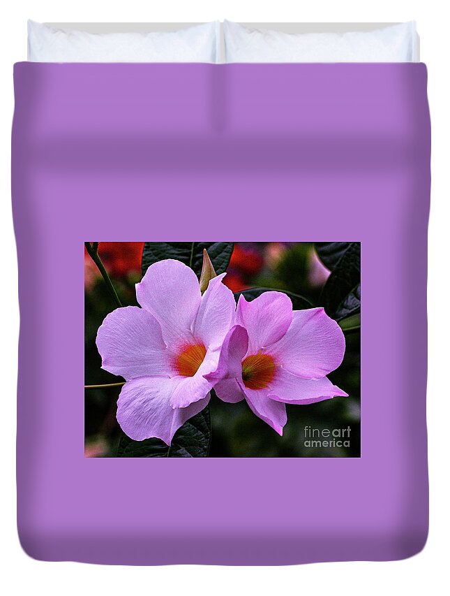 Pink Duvet Cover featuring the photograph Plentiful by Doug Norkum