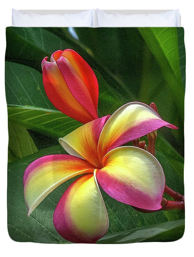 Scenic Duvet Cover featuring the photograph Plumeria or Frangipani DTHB0109 by Gerry Gantt