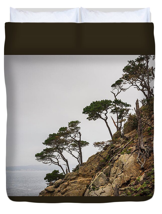  Point Lobos Duvet Cover featuring the photograph Point Lobos III Color by David Gordon