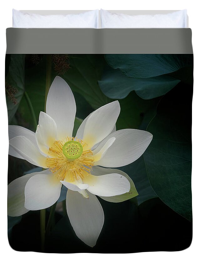 Floral Duvet Cover featuring the photograph Poised for perfection. by Usha Peddamatham
