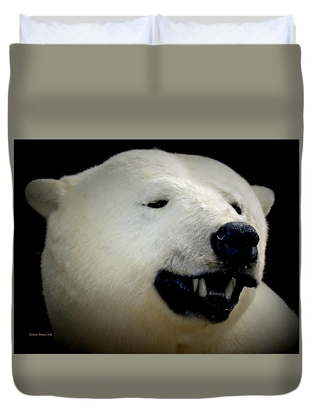 Animal Duvet Cover featuring the photograph Polar Bear by Richard Thomas
