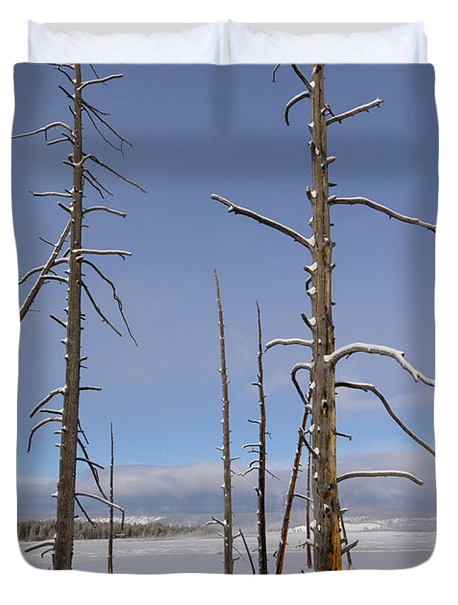 Yellowstone National Park Duvet Cover featuring the photograph Pole Pines in Yellowstone by Cheryl Strahl