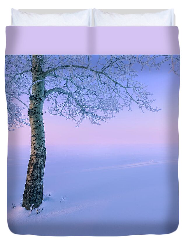 Landscape Duvet Cover featuring the photograph Poplar in the Snow by Dan Jurak