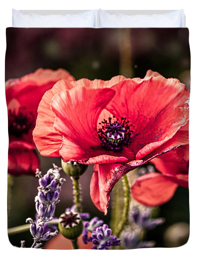 Poppy Duvet Cover featuring the photograph Poppies in a Garden by Maggie Terlecki