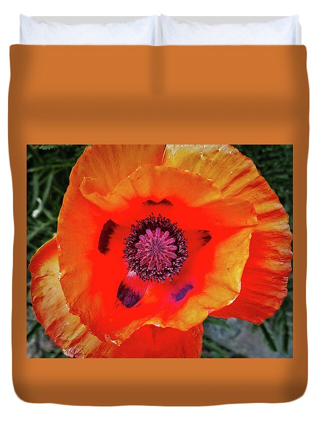 Flower Duvet Cover featuring the photograph Poppy by Dan Eskelson