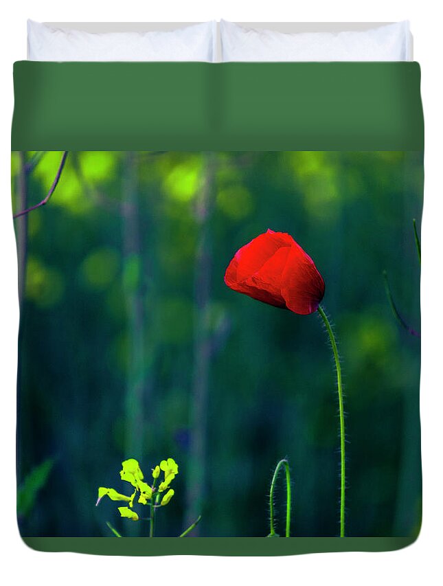 Bulgaria Duvet Cover featuring the photograph Poppy by Evgeni Dinev