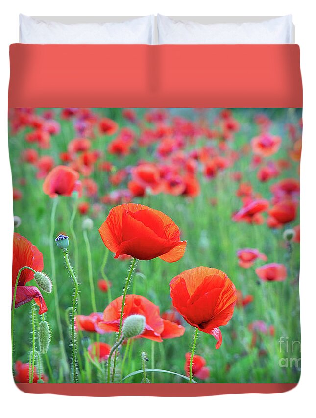 Poppy Duvet Cover featuring the photograph Poppy Song by Anastasy Yarmolovich