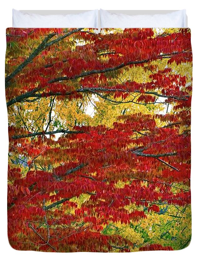 Abstract Duvet Cover featuring the photograph Port Gamble Fall Colors by David Desautel