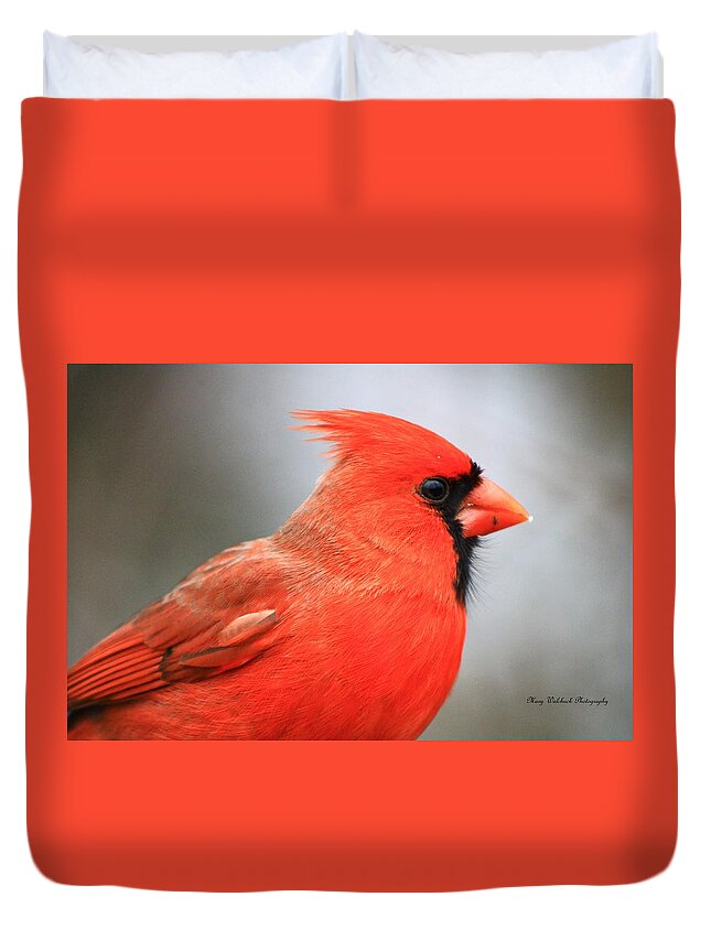 Birds Wildlife Nature Duvet Cover featuring the photograph Portrait of a Cardinal by Mary Walchuck
