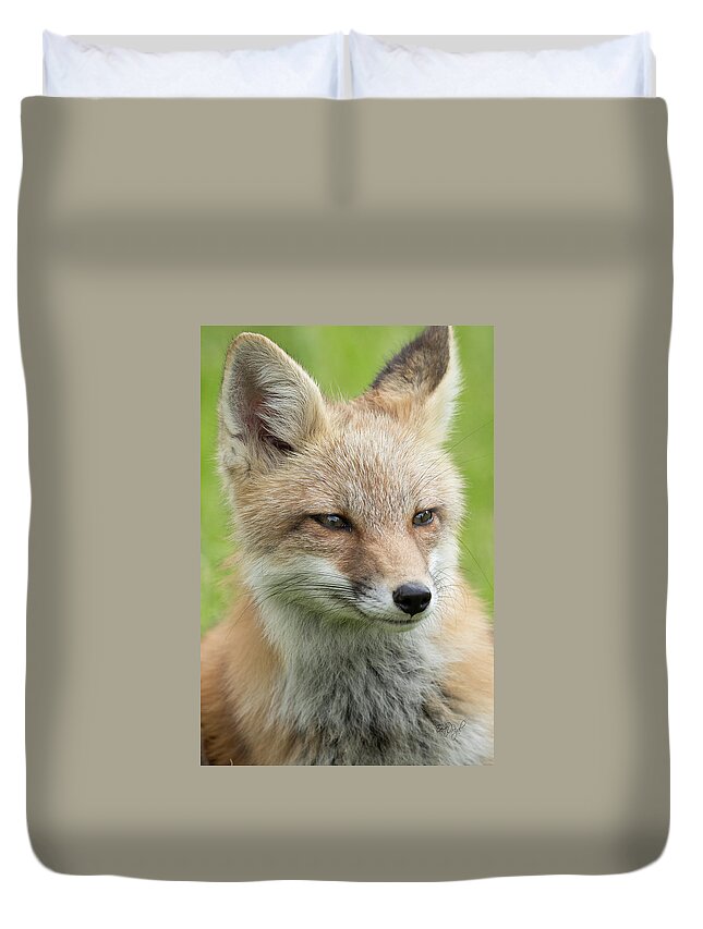 Red Fox Duvet Cover featuring the photograph Portrait of a Fox by Everet Regal