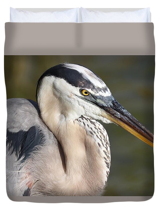 Blue Heron Duvet Cover featuring the photograph Portrait of a Great Blue Heron by Mingming Jiang