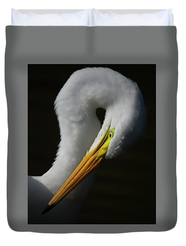 Evergreen Lake Duvet Cover featuring the photograph Portrait of a Great Egret by Ray Silva