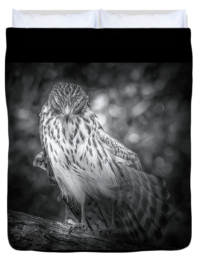 Red Shouldered Hawk Duvet Cover featuring the photograph Portrait of a Hawk by Mark Andrew Thomas
