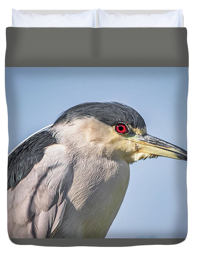Black-crowned Night Heron Duvet Cover featuring the photograph Portrait of a Night Heron by Jurgen Lorenzen