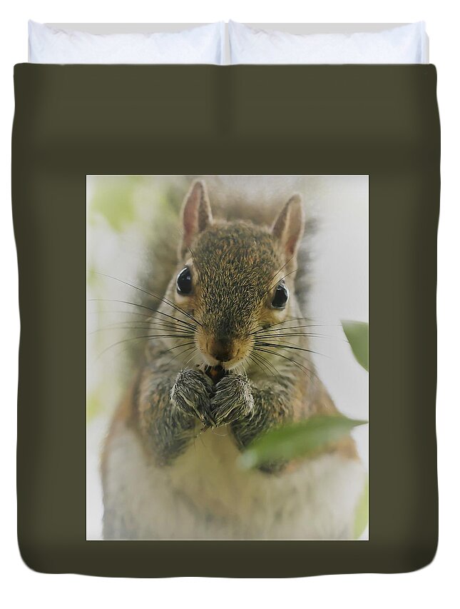 Squirrel Duvet Cover featuring the photograph Portrait of a Squirrel by Mingming Jiang