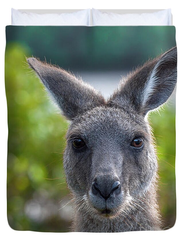 Kangaroo Duvet Cover featuring the photograph Portrait of a Wild Kangaroo by Daniel M Walsh