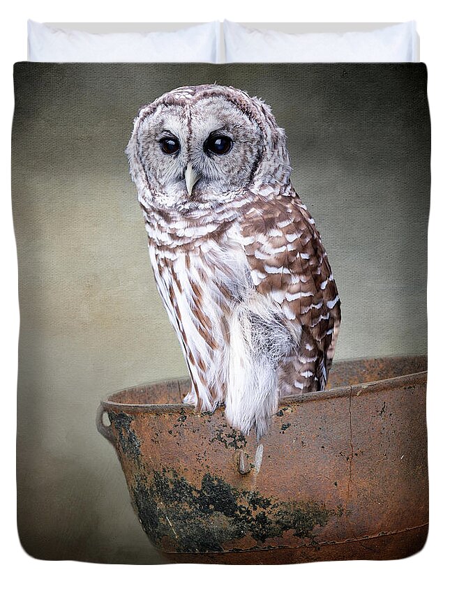 Bird Duvet Cover featuring the photograph Potted Barred Owl by Ed Taylor
