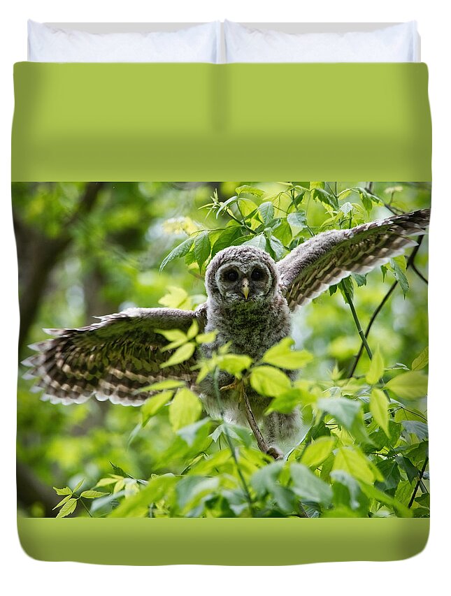 Owlet Duvet Cover featuring the photograph Practice Flight by Judy Link Cuddehe