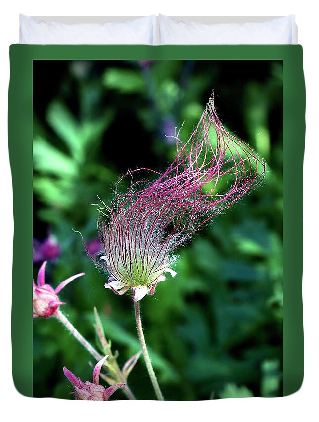 Wildflower Duvet Cover featuring the photograph Prairie Smoke by Sarah Lilja