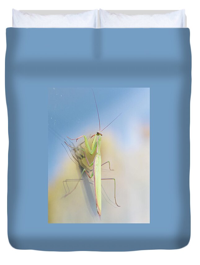 Insect Duvet Cover featuring the photograph Praying Mantis by Katie Dobies