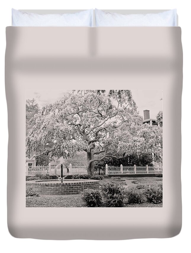 - Prescott Park Spring Tree 4 - Black And White - Portsmouth Nh Duvet Cover featuring the photograph - Prescott Park Spring Tree 4 - black and white - Portsmouth NH by THERESA Nye