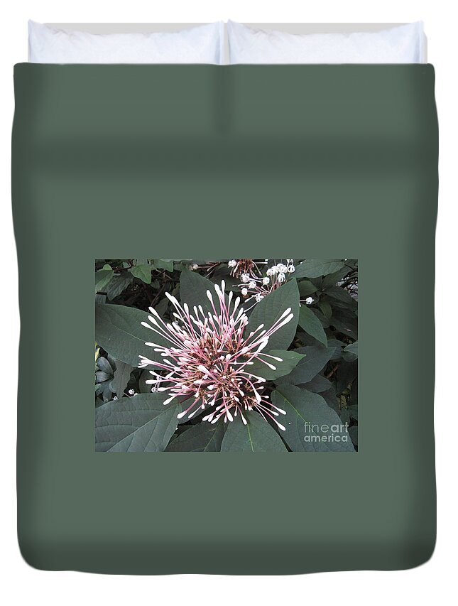 Dandelion Duvet Cover featuring the photograph Pretty Bloom by World Reflections By Sharon