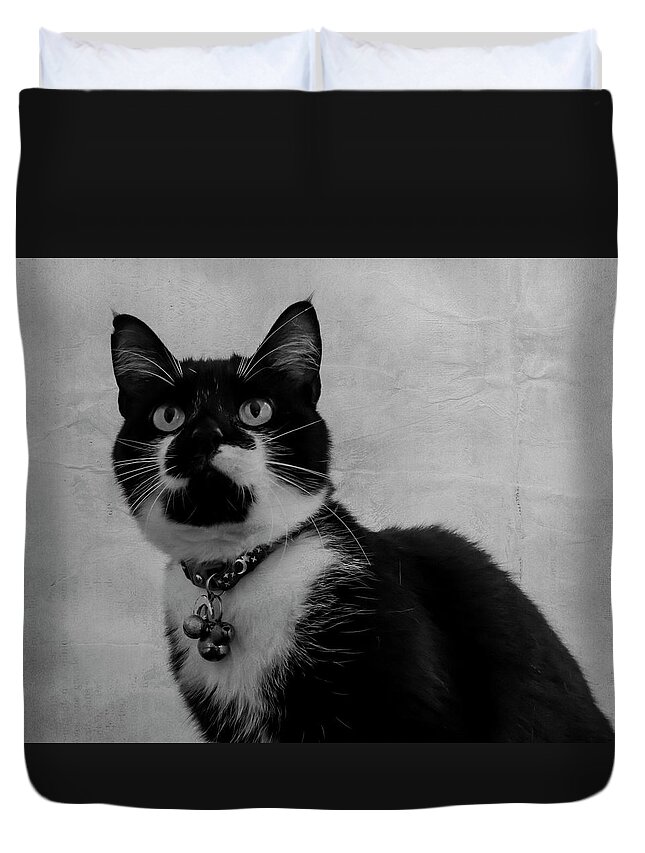 Cat Duvet Cover featuring the photograph Pretty Kitty by Cathy Kovarik