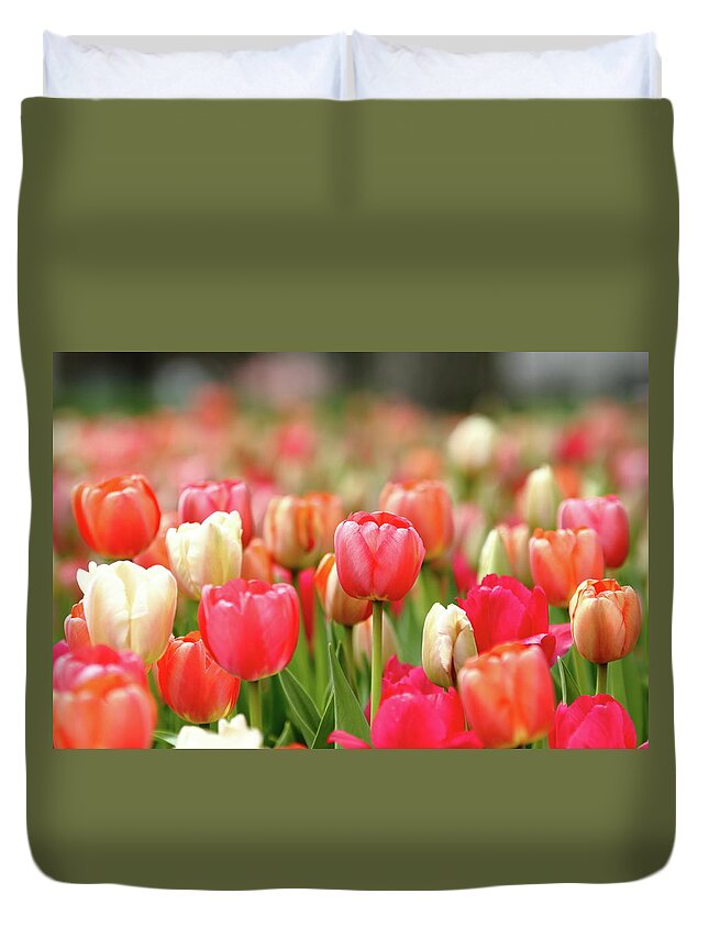 Nature Duvet Cover featuring the photograph Pretty Pastels by Lens Art Photography By Larry Trager