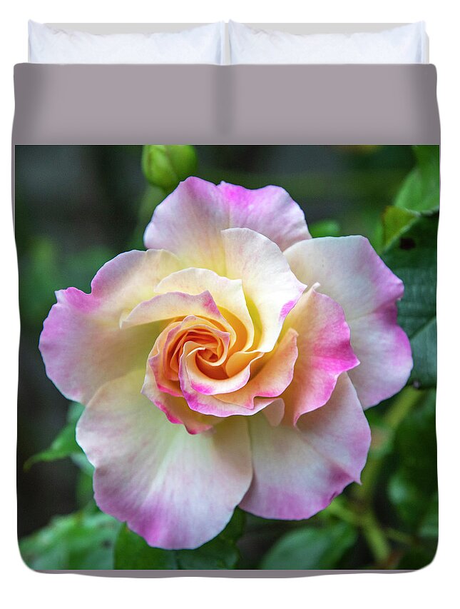 Flower Duvet Cover featuring the photograph Pretty Rose by Cathy Kovarik