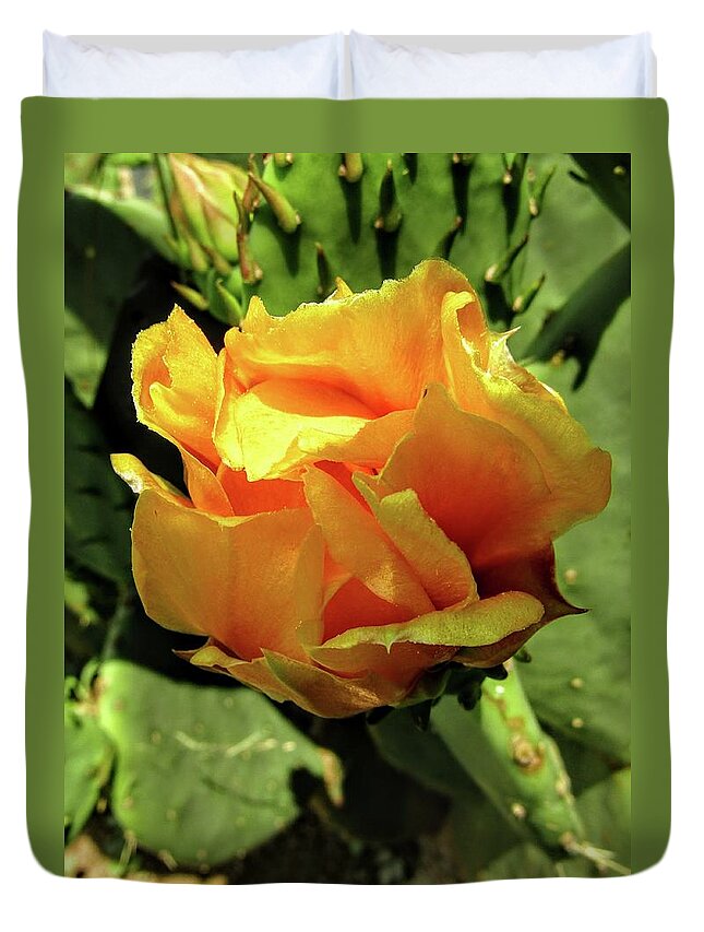 Prickly Pear Duvet Cover featuring the photograph Prickly beauty by Kim Galluzzo
