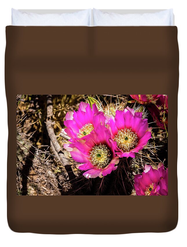 Canyon Duvet Cover featuring the photograph Prickly pear cactus flowers by Craig A Walker