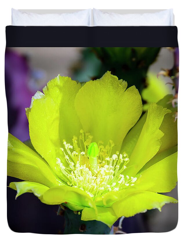 Floral Duvet Cover featuring the photograph Prickly Pear Flower 25105 by Mark Myhaver