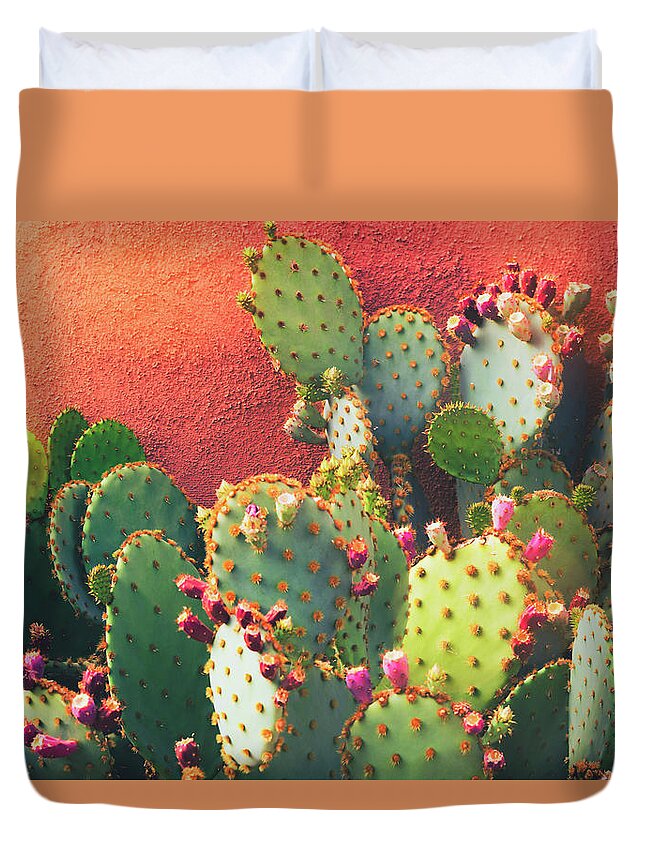 Prickly Pear Cactus Duvet Cover featuring the photograph Prickly Pear Wall by Saija Lehtonen