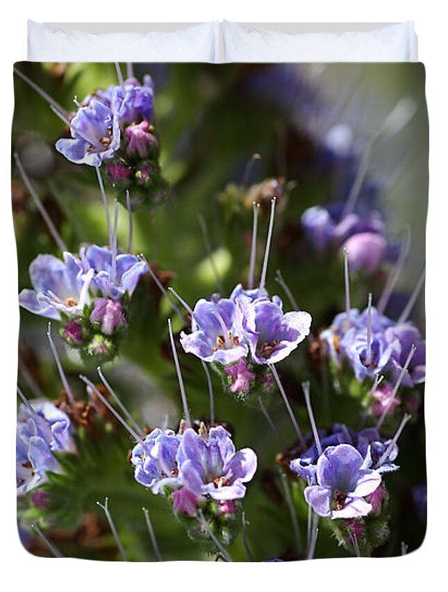 Bubbleblue Duvet Cover featuring the photograph Pride of Madeira by Joy Watson