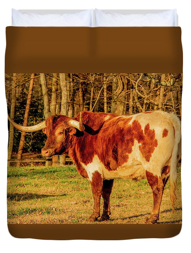 Longhorn Duvet Cover featuring the photograph Pride of Texas by Marcy Wielfaert