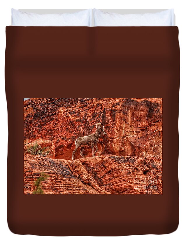  Duvet Cover featuring the photograph Prince of the Valley by Rodney Lee Williams