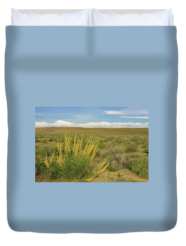 Mount Tom Duvet Cover featuring the photograph Princes Plume and Mount Tom - Spring Wildflowers Owens Valley Eastern Sierra California by Ram Vasudev