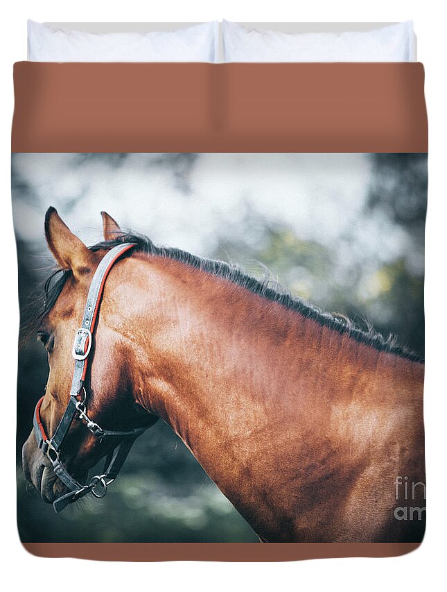 Horse Duvet Cover featuring the photograph Profile view of a brown horse II by Dimitar Hristov