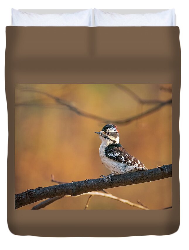 Nature Duvet Cover featuring the photograph Proud Downy Woodpecker by Kristia Adams