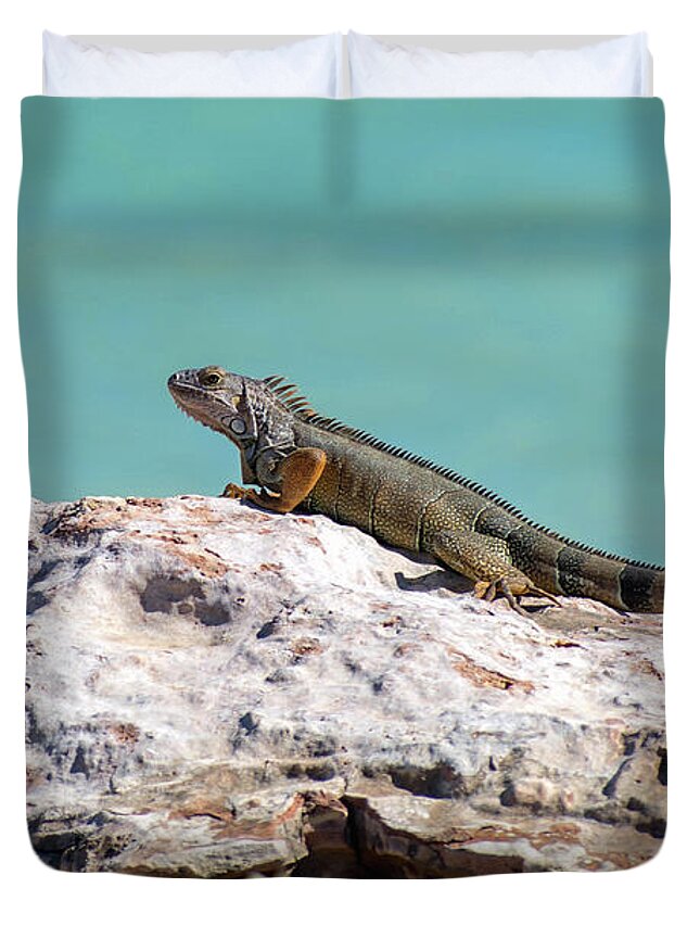 Iguana Duvet Cover featuring the photograph Puerto Rican Iguana Sunning on a Rock by Beachtown Views