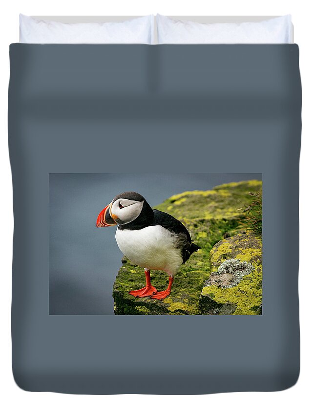 Puffin Duvet Cover featuring the photograph Puffin on Cliff edge by Stephen Sloan