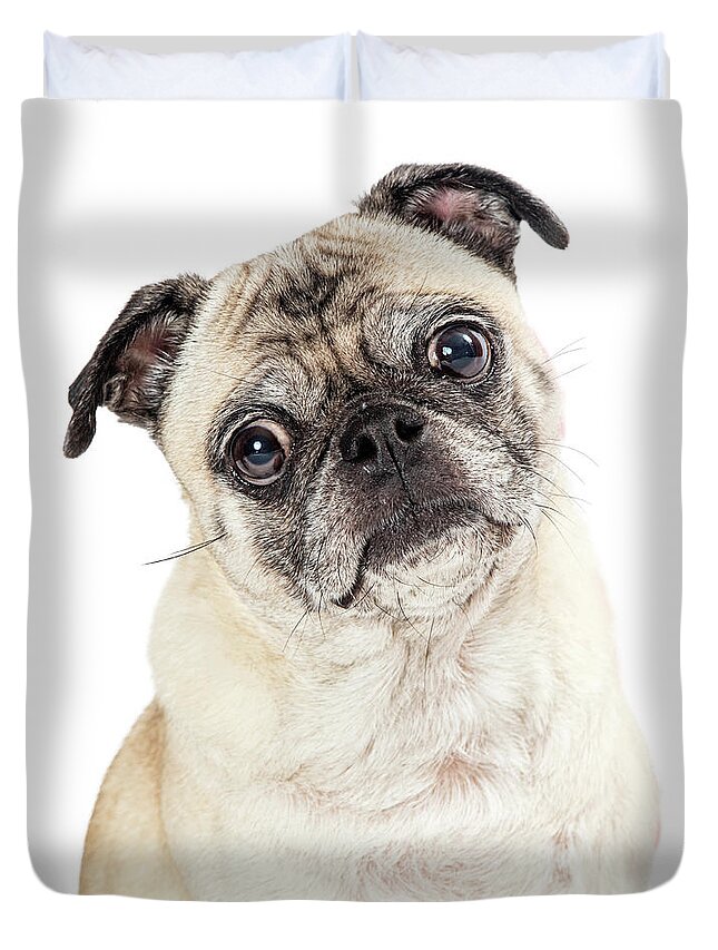 Pug Duvet Cover featuring the photograph Pug Dog Close Up Sweet Expression by Good Focused