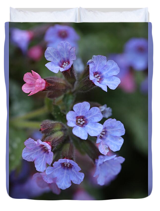 Lungwort Duvet Cover featuring the photograph Pulmonaria by Tammy Pool