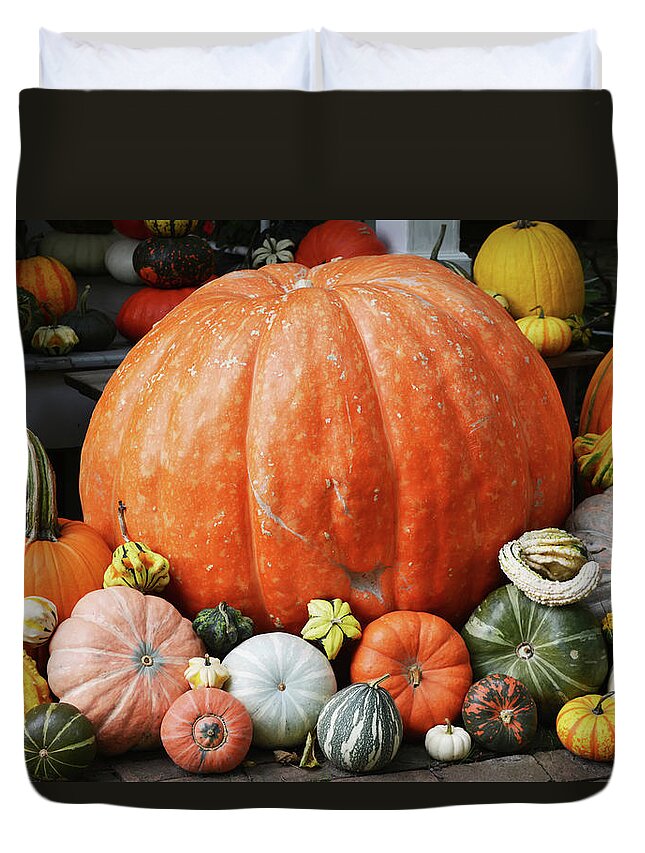 Pumpkin Duvet Cover featuring the photograph Pumpkin Assortment by Aimee L Maher ALM GALLERY