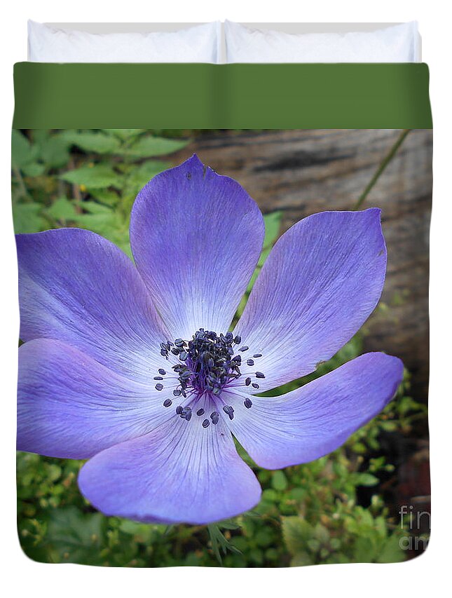 Purple Duvet Cover featuring the photograph Purple bloom by Nancy Graham