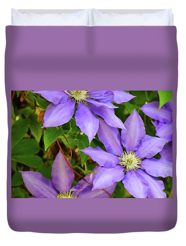 Purple Color Duvet Cover featuring the photograph Purple Clematis by Scott Burd