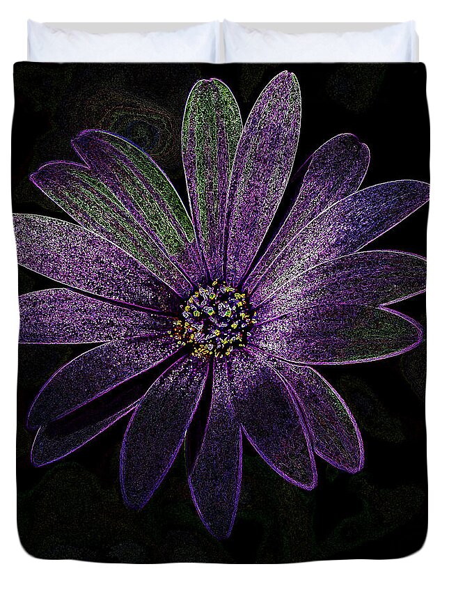 Purple Daisy Duvet Cover featuring the photograph Purple daisy #2 by Al Fio Bonina